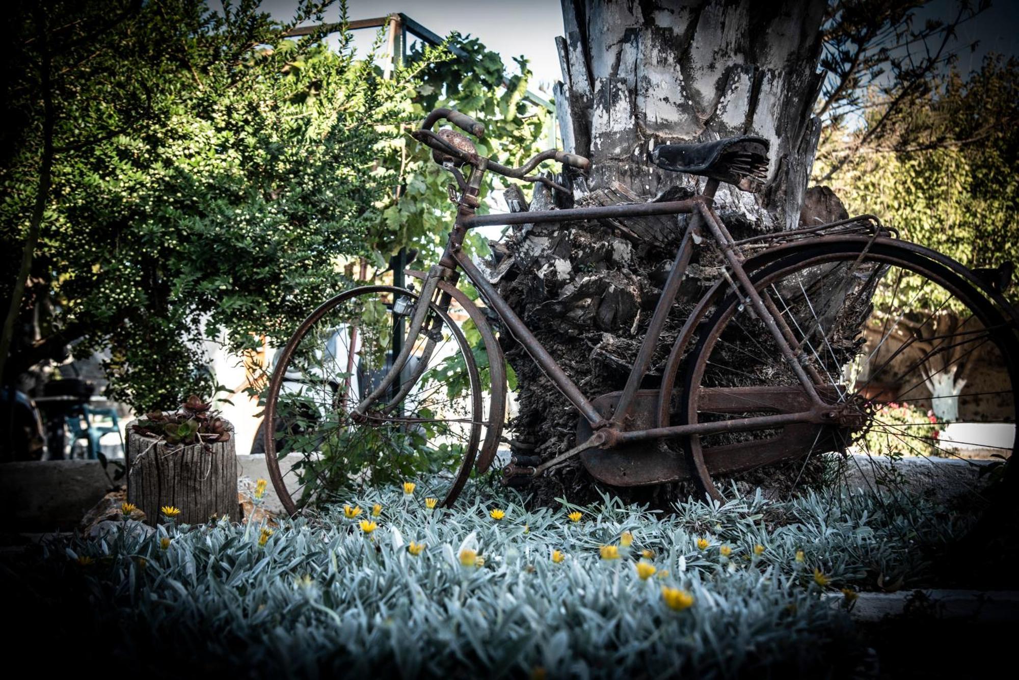 Nikos Studios Kefalos  Exterior photo